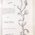 Fantastic Fanzine